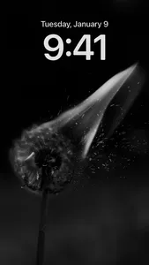 4K Black Wallpapers screenshot 0