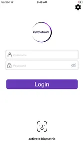 Symmetrium screenshot 0