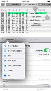 PotoHEX - HEX File Editor screenshot 0