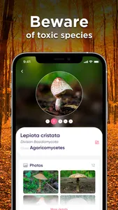 Mushroom ID: Fungus Identifier screenshot 0