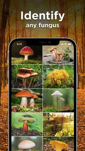 Mushroom ID: Fungus Identifier screenshot 1