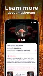 Mushroom ID: Fungus Identifier screenshot 3