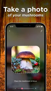 Mushroom ID: Fungus Identifier screenshot 4