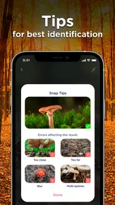 Mushroom ID: Fungus Identifier screenshot 5