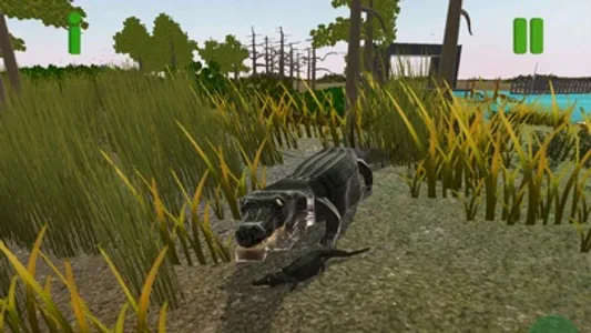 Everglades presented by MAGIC screenshot 8