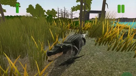 Everglades presented by MAGIC screenshot 9