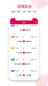 预测之家-AI预测和10家海外足球预测 screenshot 3