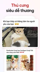 HOBI: Hóng biến, Ảnh đẹp screenshot 3