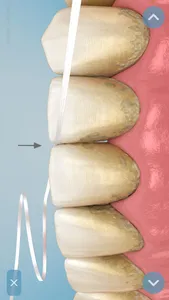 Dental 3D Illustrations screenshot 4