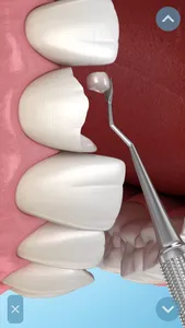 Dental 3D Illustrations screenshot 5