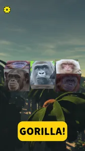 Gorilla Slot Infinity screenshot 1