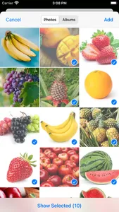 Images Classifier screenshot 5