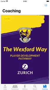 Wexford GAA screenshot 3