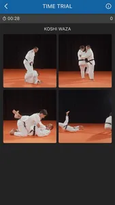 Judokai lite screenshot 9