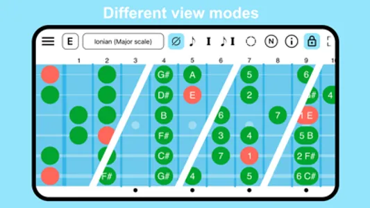 Guitar Fretboard: Scales screenshot 1