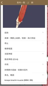 肉学(上肢) screenshot 2