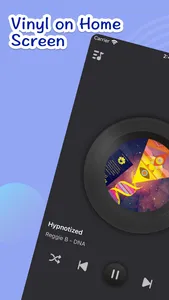 Vinyl Widget- Vinyl Record App screenshot 0