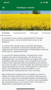 Mais Canola screenshot 1