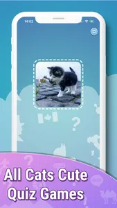 Quiz guess all cute cat breeds screenshot 2