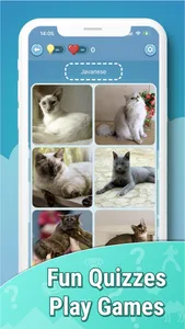 Quiz guess all cute cat breeds screenshot 5