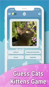 Quiz guess all cute cat breeds screenshot 6