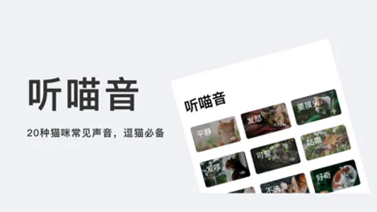 喵音-猫叫模拟器翻译器 screenshot 0