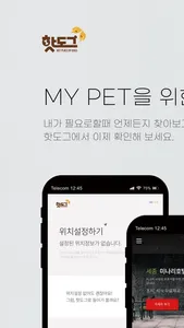 핫도그 screenshot 0