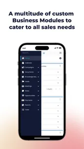 WAVE CRM screenshot 3