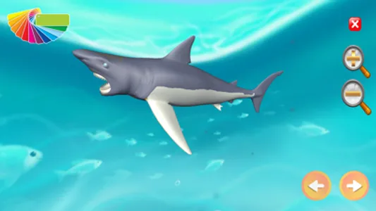 Shark World - Coloring Games screenshot 2