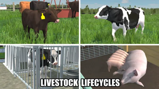 American Farming screenshot 2