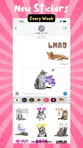 Very Necessary Cat Reactions screenshot 2