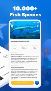 Fish Identifier by Picture screenshot 2