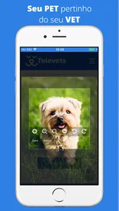TELEVETS - Veterinários 24hs screenshot 2