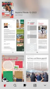 BAYERNS PFERDE E-Paper screenshot 2