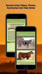 Livestock Sales App screenshot 0