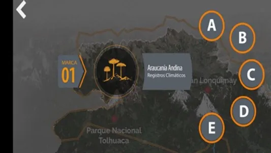 MICA - Región de La Araucanía screenshot 1