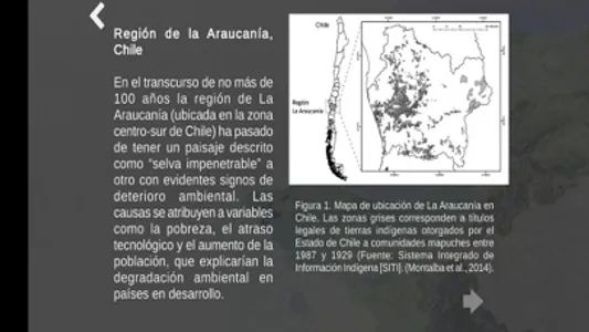 MICA - Región de La Araucanía screenshot 3