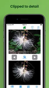 ClipEdge :One Tap to AI-CutOut screenshot 2