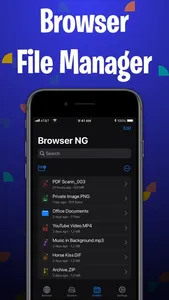 Browser NG Offline Files screenshot 2