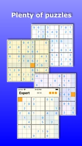 Sudoku from SG screenshot 0