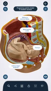 3B Smart Anatomy screenshot 6