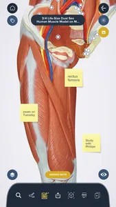 3B Smart Anatomy screenshot 9