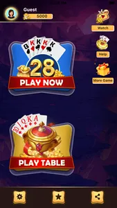 Card Game 28 screenshot 1