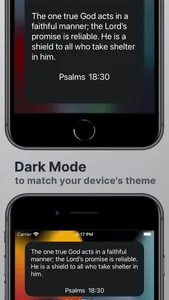 Minimal Bible Widget screenshot 2