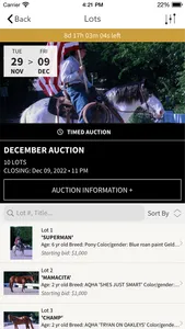 WesternWorldAuctions screenshot 1