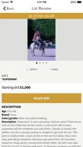 WesternWorldAuctions screenshot 2