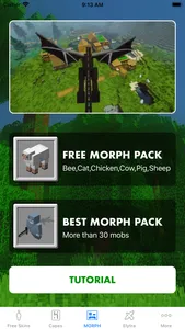 Morph Mod - Mods for Minecraft screenshot 1