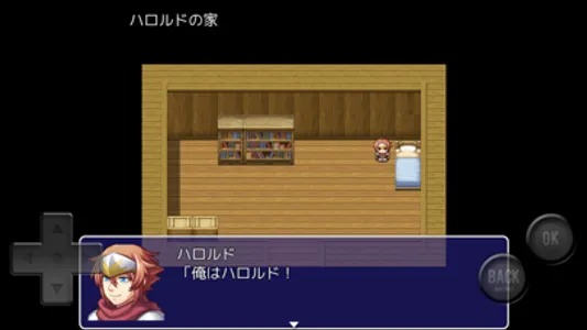 6人の村人に話し掛けると爆○するRPG screenshot 1