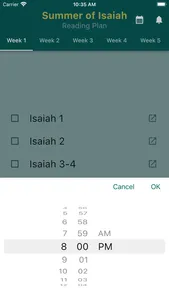 Summer of Isaiah screenshot 3