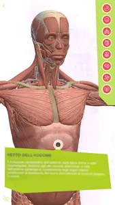 Anatomia Super screenshot 1